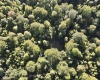 290 Long Fork Road, Flatwoods, West Virginia 26623, 0 , 0 ,0,Lots/land,For Sale,Long Fork,0,10167381