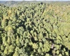 290 Long Fork Road, Flatwoods, West Virginia 26623, 0 , 0 ,0,Lots/land,For Sale,Long Fork,0,10167381