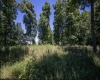 290 Long Fork Road, Flatwoods, West Virginia 26623, 0 , 0 ,0,Lots/land,For Sale,Long Fork,0,10167381