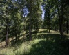 290 Long Fork Road, Flatwoods, West Virginia 26623, 0 , 0 ,0,Lots/land,For Sale,Long Fork,0,10167381