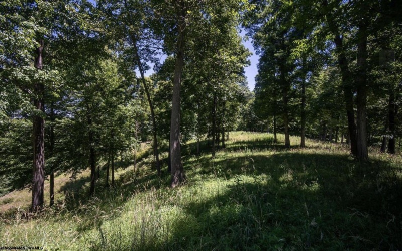 290 Long Fork Road, Flatwoods, West Virginia 26623, 0 , 0 ,0,Lots/land,For Sale,Long Fork,0,10167381