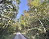 290 Long Fork Road, Flatwoods, West Virginia 26623, 0 , 0 ,0,Lots/land,For Sale,Long Fork,0,10167381