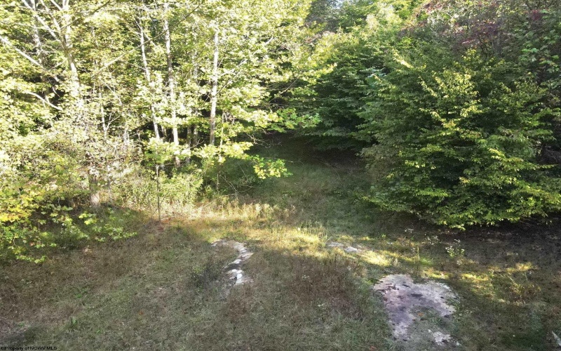 290 Long Fork Road, Flatwoods, West Virginia 26623, 0 , 0 ,0,Lots/land,For Sale,Long Fork,0,10167381