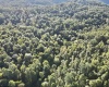 290 Long Fork Road, Flatwoods, West Virginia 26623, 0 , 0 ,0,Lots/land,For Sale,Long Fork,0,10167381