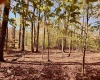 Lot 90 Mountainside Road, Davis, West Virginia 26260-0000, 0 , 0 ,0,Lots/land,For Sale,Mountainside,0,10167382
