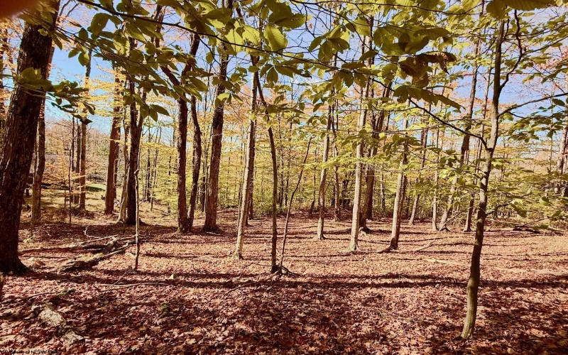 Lot 90 Mountainside Road, Davis, West Virginia 26260-0000, 0 , 0 ,0,Lots/land,For Sale,Mountainside,0,10167382