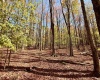 Lot 90 Mountainside Road, Davis, West Virginia 26260-0000, 0 , 0 ,0,Lots/land,For Sale,Mountainside,0,10167382