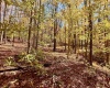 Lot 90 Mountainside Road, Davis, West Virginia 26260-0000, 0 , 0 ,0,Lots/land,For Sale,Mountainside,0,10167382