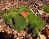 Lot 90 Mountainside Road, Davis, West Virginia 26260-0000, 0 , 0 ,0,Lots/land,For Sale,Mountainside,0,10167382