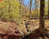 Lot 90 Mountainside Road, Davis, West Virginia 26260-0000, 0 , 0 ,0,Lots/land,For Sale,Mountainside,0,10167382