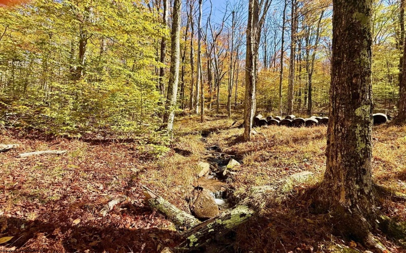 Lot 90 Mountainside Road, Davis, West Virginia 26260-0000, 0 , 0 ,0,Lots/land,For Sale,Mountainside,0,10167382