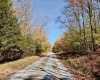 Lot 90 Mountainside Road, Davis, West Virginia 26260-0000, 0 , 0 ,0,Lots/land,For Sale,Mountainside,0,10167382