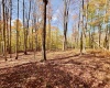 Lot 90 Mountainside Road, Davis, West Virginia 26260-0000, 0 , 0 ,0,Lots/land,For Sale,Mountainside,0,10167382