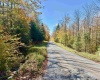 Lot 90 Mountainside Road, Davis, West Virginia 26260-0000, 0 , 0 ,0,Lots/land,For Sale,Mountainside,0,10167382