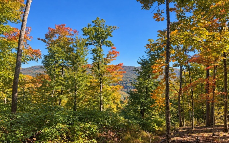 TBD Beckys Creek Road, Huttonsville, West Virginia 26273, 0 , 0 ,0,Lots/land,For Sale,Beckys Creek,0,10167387