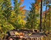 TBD Beckys Creek Road, Huttonsville, West Virginia 26273, 0 , 0 ,0,Lots/land,For Sale,Beckys Creek,0,10167387