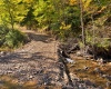 TBD Beckys Creek Road, Huttonsville, West Virginia 26273, 0 , 0 ,0,Lots/land,For Sale,Beckys Creek,0,10167387