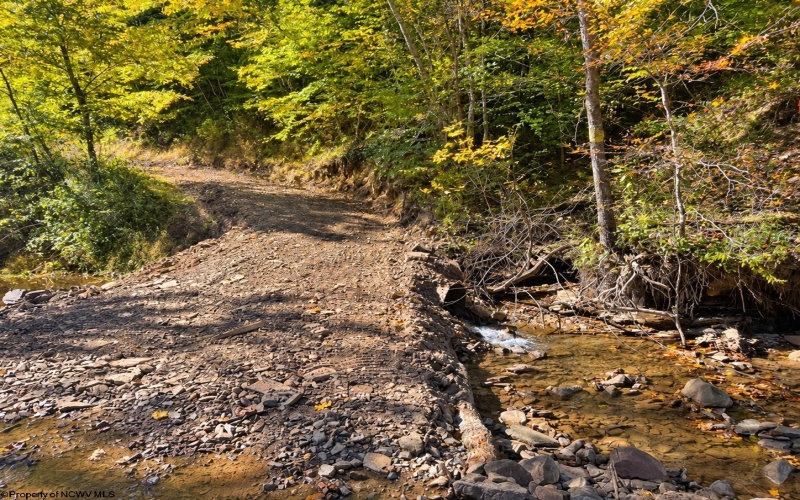 TBD Beckys Creek Road, Huttonsville, West Virginia 26273, 0 , 0 ,0,Lots/land,For Sale,Beckys Creek,0,10167387
