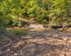 TBD Beckys Creek Road, Huttonsville, West Virginia 26273, 0 , 0 ,0,Lots/land,For Sale,Beckys Creek,0,10167387