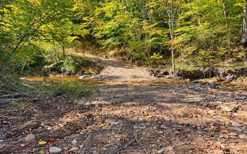 TBD Beckys Creek Road, Huttonsville, West Virginia 26273, 0 , 0 ,0,Lots/land,For Sale,Beckys Creek,0,10167387