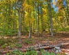 TBD Beckys Creek Road, Huttonsville, West Virginia 26273, 0 , 0 ,0,Lots/land,For Sale,Beckys Creek,0,10167387
