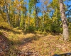 TBD Beckys Creek Road, Huttonsville, West Virginia 26273, 0 , 0 ,0,Lots/land,For Sale,Beckys Creek,0,10167387