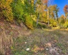 TBD Beckys Creek Road, Huttonsville, West Virginia 26273, 0 , 0 ,0,Lots/land,For Sale,Beckys Creek,0,10167387