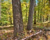 TBD Beckys Creek Road, Huttonsville, West Virginia 26273, 0 , 0 ,0,Lots/land,For Sale,Beckys Creek,0,10167387