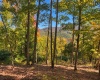 TBD Beckys Creek Road, Huttonsville, West Virginia 26273, 0 , 0 ,0,Lots/land,For Sale,Beckys Creek,0,10167387