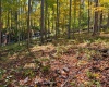 TBD Beckys Creek Road, Huttonsville, West Virginia 26273, 0 , 0 ,0,Lots/land,For Sale,Beckys Creek,0,10167387