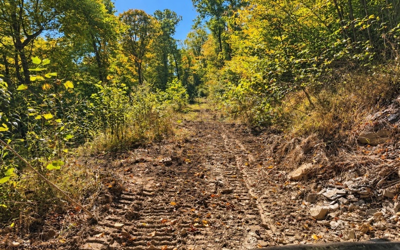 TBD Beckys Creek Road, Huttonsville, West Virginia 26273, 0 , 0 ,0,Lots/land,For Sale,Beckys Creek,0,10167387