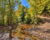 TBD Beckys Creek Road, Huttonsville, West Virginia 26273, 0 , 0 ,0,Lots/land,For Sale,Beckys Creek,0,10167387