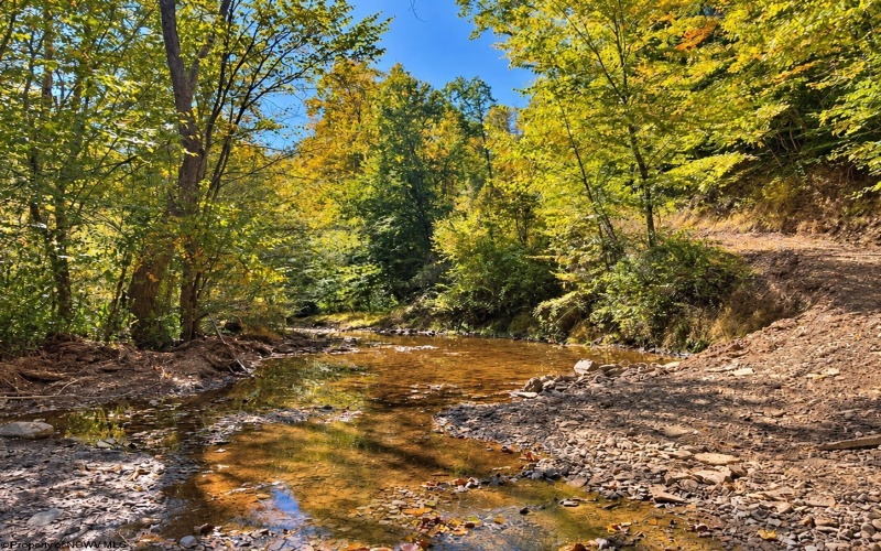 TBD Beckys Creek Road, Huttonsville, West Virginia 26273, 0 , 0 ,0,Lots/land,For Sale,Beckys Creek,0,10167387