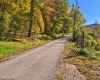 TBD Beckys Creek Road, Huttonsville, West Virginia 26273, 0 , 0 ,0,Lots/land,For Sale,Beckys Creek,0,10167387