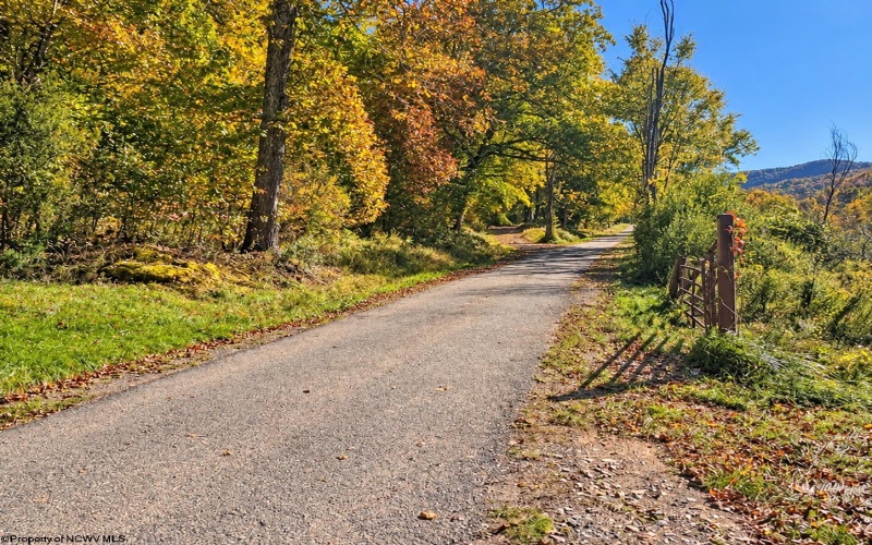 TBD Beckys Creek Road, Huttonsville, West Virginia 26273, 0 , 0 ,0,Lots/land,For Sale,Beckys Creek,0,10167387