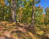 TBD Beckys Creek Road, Huttonsville, West Virginia 26273, 0 , 0 ,0,Lots/land,For Sale,Beckys Creek,0,10167387