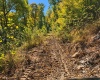 TBD Beckys Creek Road, Huttonsville, West Virginia 26273, 0 , 0 ,0,Lots/land,For Sale,Beckys Creek,0,10167387