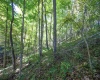 Lot 1 Panther Hollow Road, Wellsburg, West Virginia 26070, 0 , 0 ,0,Lots/land,For Sale,Panther Hollow,0,10167405 Lot 1 Panther Hollow Road, Wellsburg, West Virginia 26070, 0 , 0 ,0,Lots/land,For Sale,Panther Hollow,0,10167405