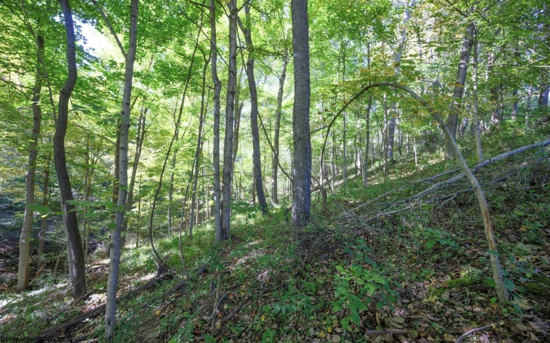 Lot 1 Panther Hollow Road, Wellsburg, West Virginia 26070, 0 , 0 ,0,Lots/land,For Sale,Panther Hollow,0,10167405 Lot 1 Panther Hollow Road, Wellsburg, West Virginia 26070, 0 , 0 ,0,Lots/land,For Sale,Panther Hollow,0,10167405