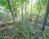 Lot 1 Panther Hollow Road, Wellsburg, West Virginia 26070, 0 , 0 ,0,Lots/land,For Sale,Panther Hollow,0,10167405 Lot 1 Panther Hollow Road, Wellsburg, West Virginia 26070, 0 , 0 ,0,Lots/land,For Sale,Panther Hollow,0,10167405