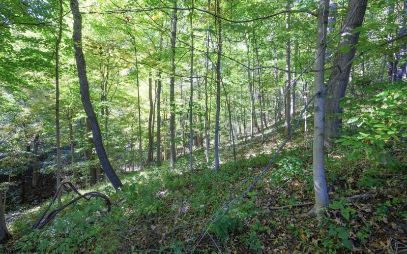 Lot 1 Panther Hollow Road, Wellsburg, West Virginia 26070, 0 , 0 ,0,Lots/land,For Sale,Panther Hollow,0,10167405 Lot 1 Panther Hollow Road, Wellsburg, West Virginia 26070, 0 , 0 ,0,Lots/land,For Sale,Panther Hollow,0,10167405