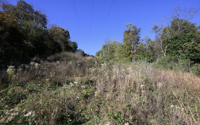 Lot 1 Panther Hollow Road, Wellsburg, West Virginia 26070, 0 , 0 ,0,Lots/land,For Sale,Panther Hollow,0,10167405 Lot 1 Panther Hollow Road, Wellsburg, West Virginia 26070, 0 , 0 ,0,Lots/land,For Sale,Panther Hollow,0,10167405