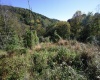 Lot 1 Panther Hollow Road, Wellsburg, West Virginia 26070, 0 , 0 ,0,Lots/land,For Sale,Panther Hollow,0,10167405 Lot 1 Panther Hollow Road, Wellsburg, West Virginia 26070, 0 , 0 ,0,Lots/land,For Sale,Panther Hollow,0,10167405