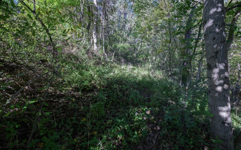 Lot 1 Panther Hollow Road, Wellsburg, West Virginia 26070, 0 , 0 ,0,Lots/land,For Sale,Panther Hollow,0,10167405 Lot 1 Panther Hollow Road, Wellsburg, West Virginia 26070, 0 , 0 ,0,Lots/land,For Sale,Panther Hollow,0,10167405