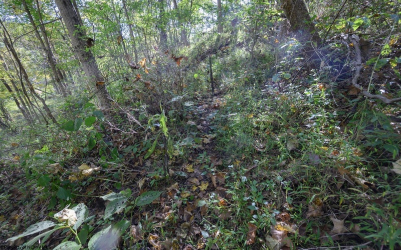 Lot 1 Panther Hollow Road, Wellsburg, West Virginia 26070, 0 , 0 ,0,Lots/land,For Sale,Panther Hollow,0,10167405 Lot 1 Panther Hollow Road, Wellsburg, West Virginia 26070, 0 , 0 ,0,Lots/land,For Sale,Panther Hollow,0,10167405
