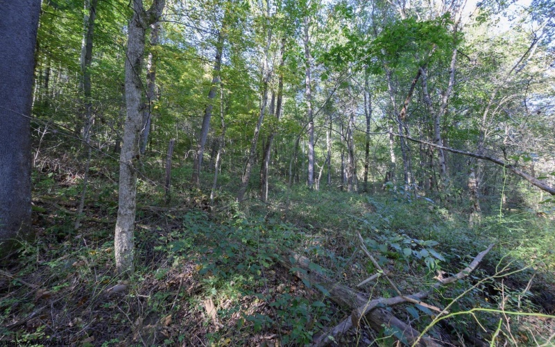Lot 1 Panther Hollow Road, Wellsburg, West Virginia 26070, 0 , 0 ,0,Lots/land,For Sale,Panther Hollow,0,10167405 Lot 1 Panther Hollow Road, Wellsburg, West Virginia 26070, 0 , 0 ,0,Lots/land,For Sale,Panther Hollow,0,10167405