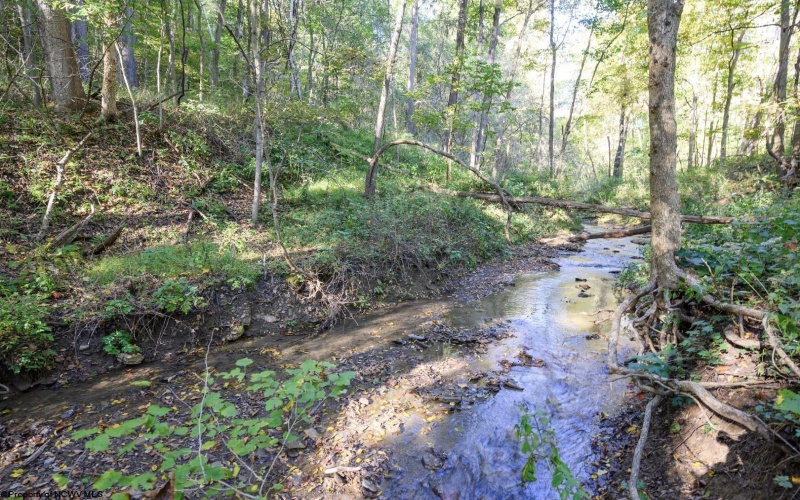 Lot 1 Panther Hollow Road, Wellsburg, West Virginia 26070, 0 , 0 ,0,Lots/land,For Sale,Panther Hollow,0,10167405 Lot 1 Panther Hollow Road, Wellsburg, West Virginia 26070, 0 , 0 ,0,Lots/land,For Sale,Panther Hollow,0,10167405