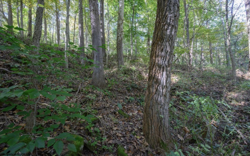 Lot 1 Panther Hollow Road, Wellsburg, West Virginia 26070, 0 , 0 ,0,Lots/land,For Sale,Panther Hollow,0,10167405 Lot 1 Panther Hollow Road, Wellsburg, West Virginia 26070, 0 , 0 ,0,Lots/land,For Sale,Panther Hollow,0,10167405