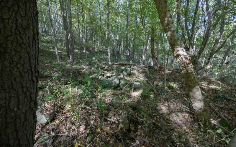 Lot 1 Panther Hollow Road, Wellsburg, West Virginia 26070, 0 , 0 ,0,Lots/land,For Sale,Panther Hollow,0,10167405 Lot 1 Panther Hollow Road, Wellsburg, West Virginia 26070, 0 , 0 ,0,Lots/land,For Sale,Panther Hollow,0,10167405