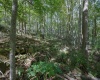 Lot 1 Panther Hollow Road, Wellsburg, West Virginia 26070, 0 , 0 ,0,Lots/land,For Sale,Panther Hollow,0,10167405 Lot 1 Panther Hollow Road, Wellsburg, West Virginia 26070, 0 , 0 ,0,Lots/land,For Sale,Panther Hollow,0,10167405